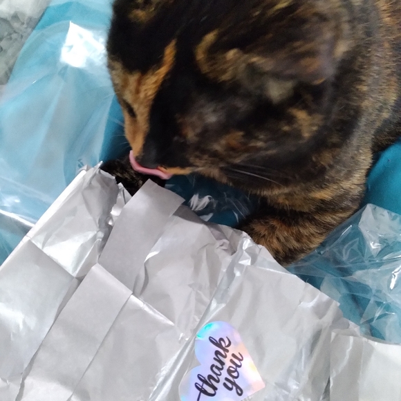 Meet your Posher, Kimberly Dawn - Picture 2 of 10